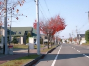 池田町字東2条の土地画像