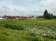 更別村字上更別(オークヴィレッジ)の土地画像 更別村字上更別(オークヴィレッジ)の土地画像