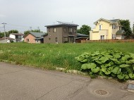画像 画像